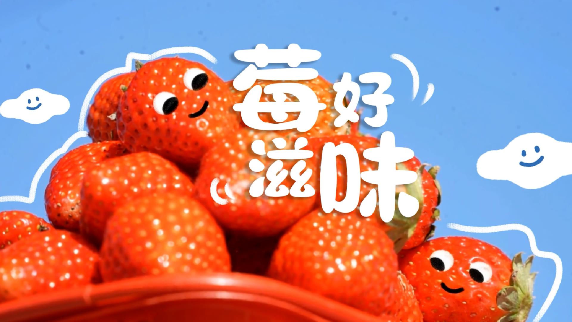视频封面.jpg